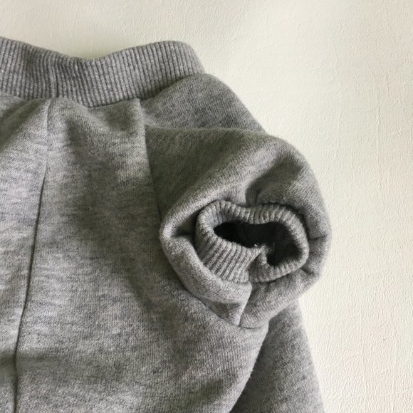 Dog Clothes Disney Minion Character Gray Sweat Short Sleeve Size Large - Picture 4 of 8